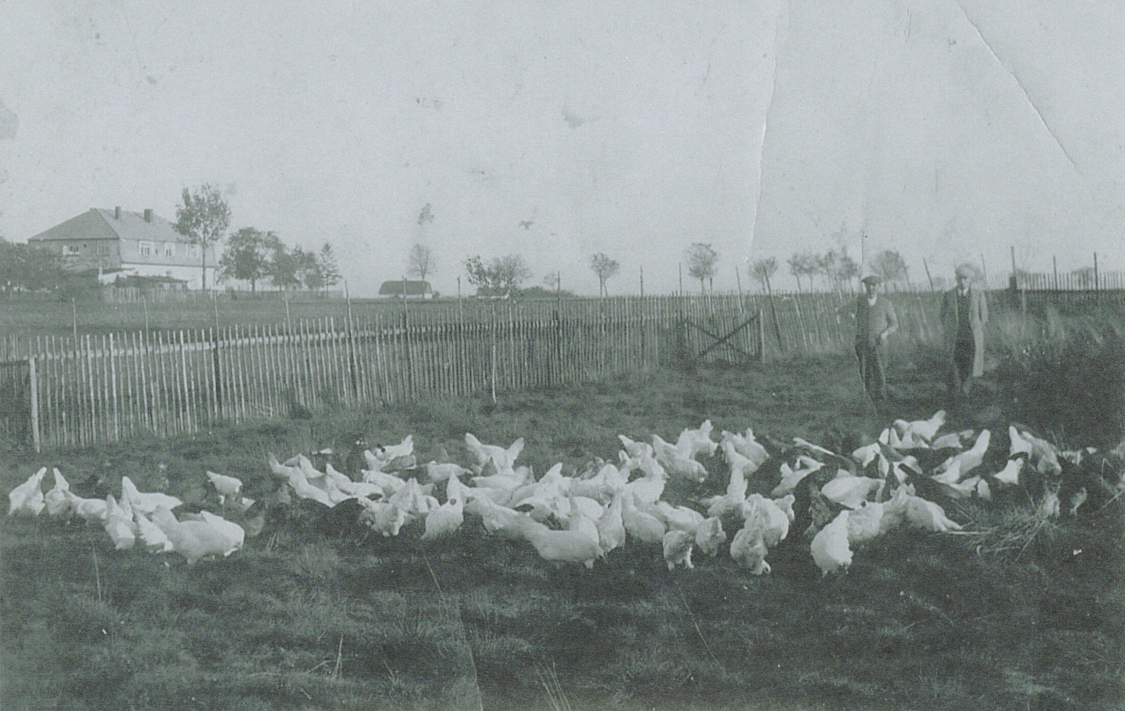 Pohled_ze_zahrady_domu_čp_536_velke